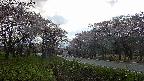 takano1-20250504151016.jpg