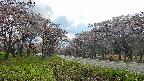 takano1-20250504152017.jpg
