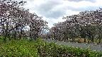 takano1-20250504154015.jpg