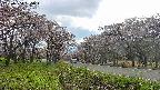 takano1-20250504155017.jpg