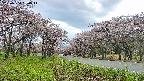 takano1-20250504160015.jpg