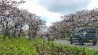 takano1-20250504161015.jpg