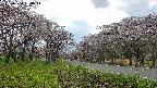 takano1-20250504163015.jpg