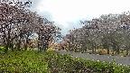 takano1-20250504164016.jpg