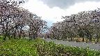 takano1-20250504165016.jpg