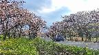 takano1-20250504171018.jpg