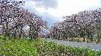 takano1-20250504173016.jpg