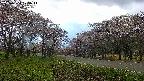 takano1-20250504175015.jpg