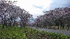 takano1-20250504181016.jpg