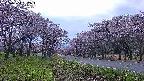 takano1-20250504182016.jpg
