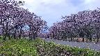 takano1-20250504183017.jpg