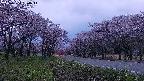takano1-20250504184015.jpg