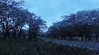 takano1-20250504185014.jpg