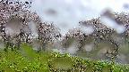 takano1-20250505063016.jpg