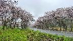 takano1-20250505082017.jpg