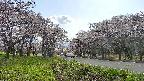 takano1-20250505152017.jpg