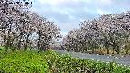 takano1-20250508050016.jpg