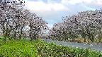 takano1-20250508051017.jpg