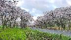 takano1-20250508052016.jpg