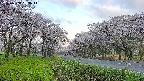 takano1-20250508053015.jpg