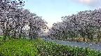 takano1-20250508054016.jpg