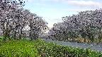 takano1-20250508055015.jpg