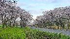 takano1-20250508060017.jpg