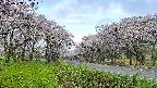 takano1-20250508061015.jpg