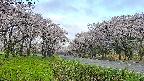 takano1-20250508062016.jpg