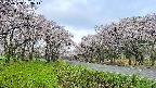 takano1-20250508063016.jpg