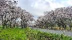 takano1-20250508065017.jpg