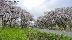 takano1-20250508070015.jpg