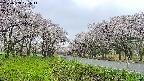 takano1-20250508071015.jpg