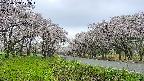 takano1-20250508072015.jpg