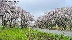 takano1-20250508073016.jpg