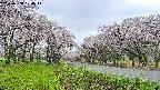 takano1-20250508074016.jpg