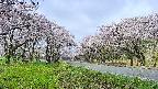 takano1-20250508081016.jpg