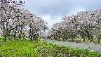 takano1-20250508083016.jpg
