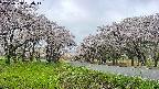 takano1-20250508084016.jpg