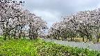 takano1-20250508085017.jpg