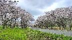 takano1-20250508092015.jpg