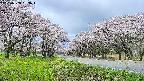takano1-20250508093016.jpg