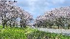 takano1-20250508100017.jpg