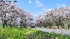 takano1-20250508102017.jpg