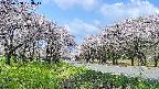 takano1-20250508103015.jpg