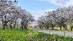 takano1-20250508104017.jpg