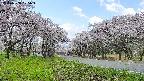 takano1-20250508105017.jpg