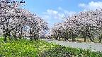 takano1-20250508110017.jpg