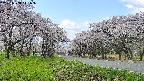 takano1-20250508111017.jpg