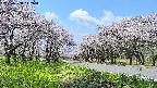 takano1-20250508112016.jpg